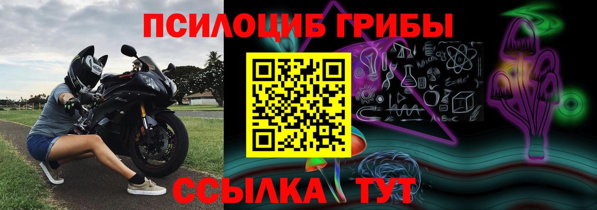 Галлюциногенные грибы Psilocybe Стрежевой